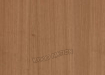 Wood Nation